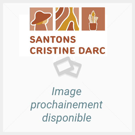 En attente de l’image du produit