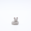 Chat blanc face produit petits animaux