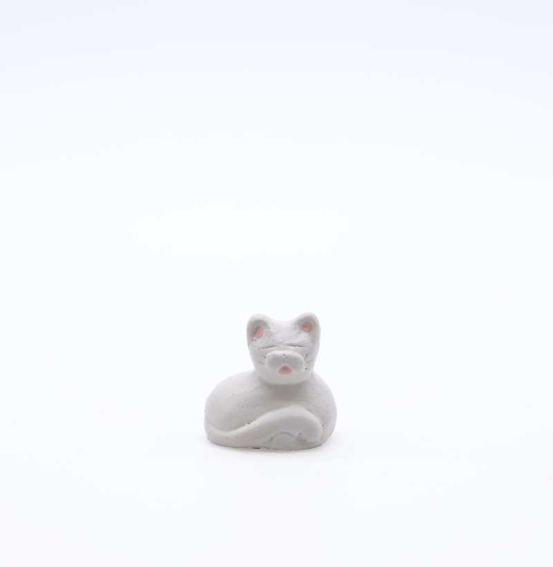 Chat blanc face produit petits animaux