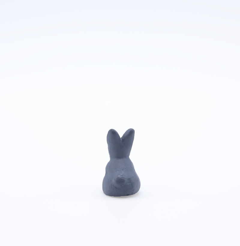 Lapin gris dos produit petits animaux