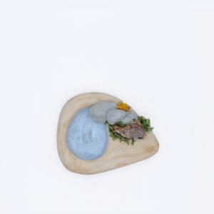 Mare au canard