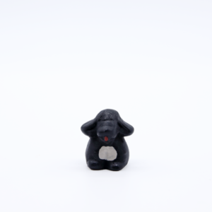 Chien