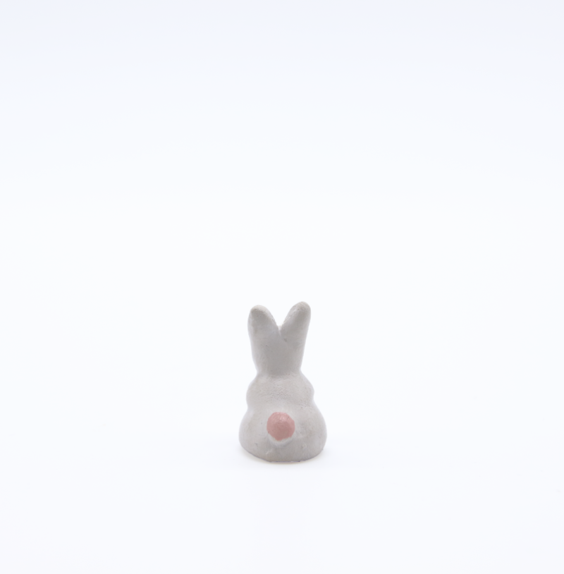 lapin blanc dos produit petits animaux