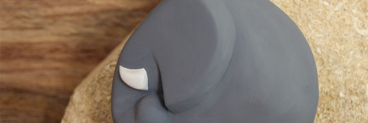 4a Elephant Finiels Bandeau Site 2022